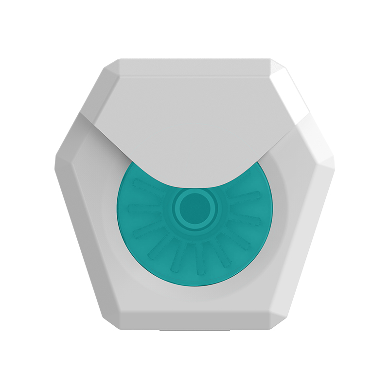 Fil dentaire UHMWPE classique, saveur de sel de mer, hexagone, emballé en boîte, 50M 