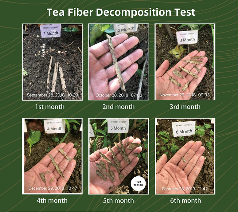 Technologie Buletedan