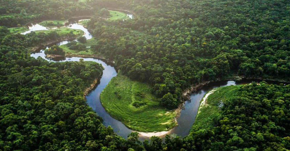 Technologie Buletedan