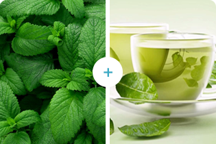 Technologie Buletedan