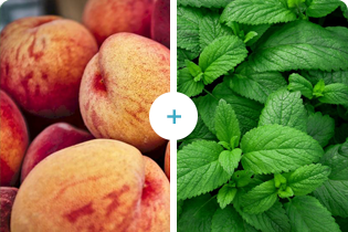 Technologie Buletedan