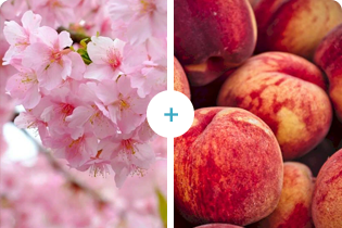 Technologie Buletedan